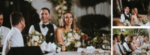 Chicago Wedding photographer, Botanic Garden