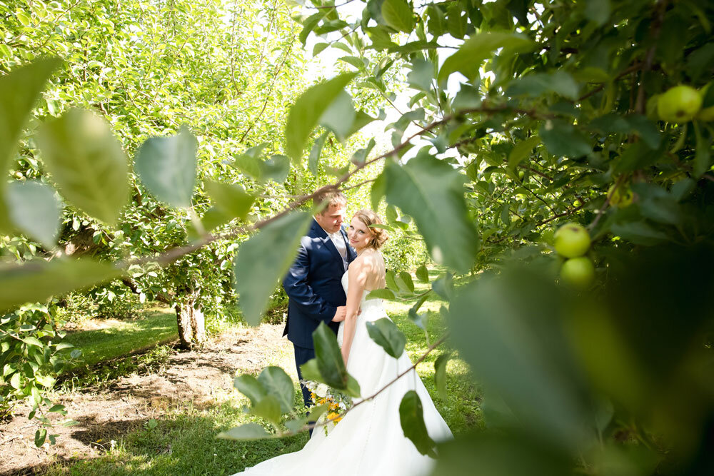 Wedding in the suburbs