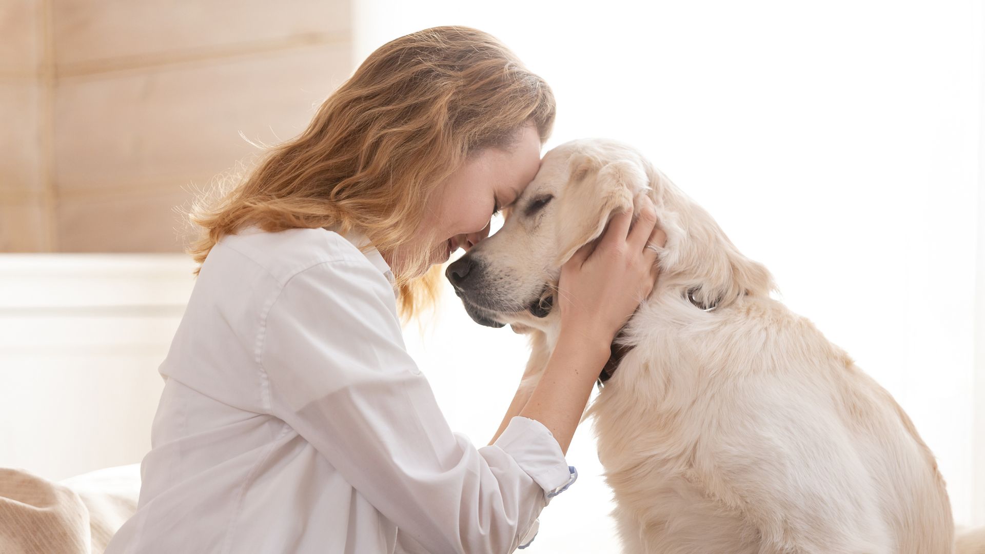 Pet Photography season